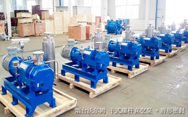 ?【真空泵廠】山東真空泵廠家哪家好？推薦沃爾姆品牌廠家直銷